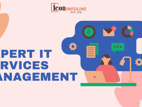 Expert IT Services Management in Pune